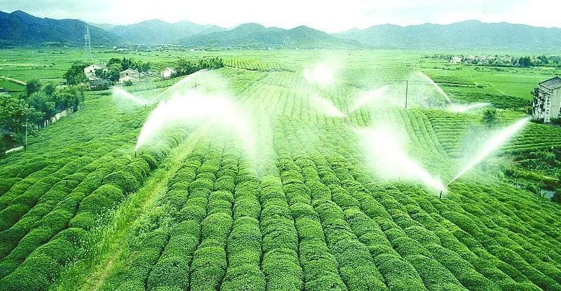 我们为什么研制智墒
