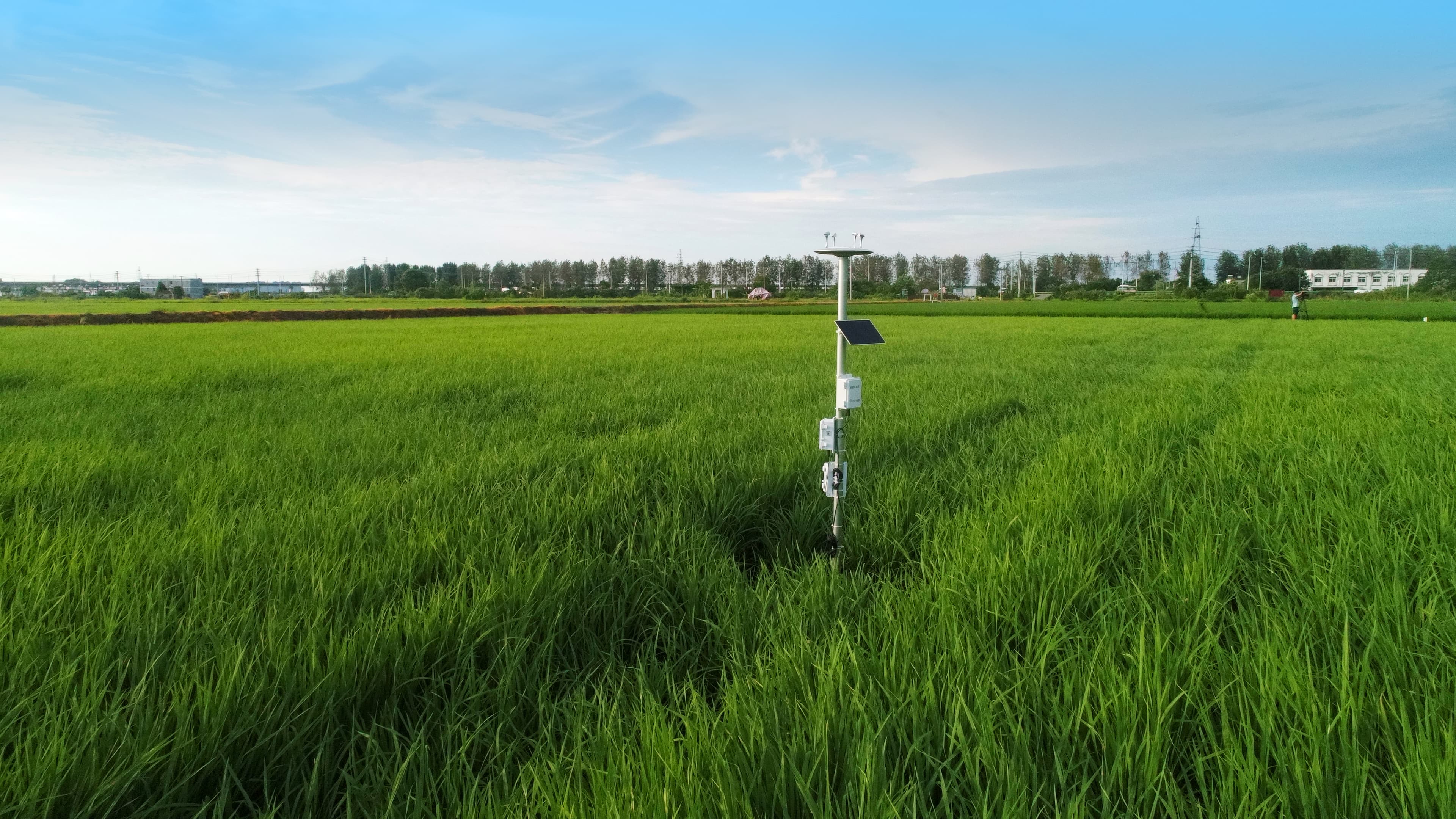 水稻种植智能监测