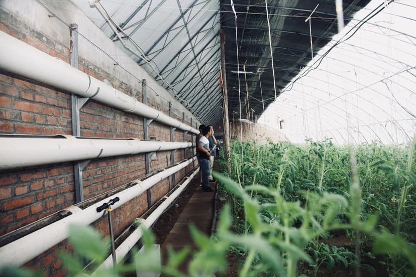 花大力气安装的滴灌系统,真的达到预期的节水效果了吗?